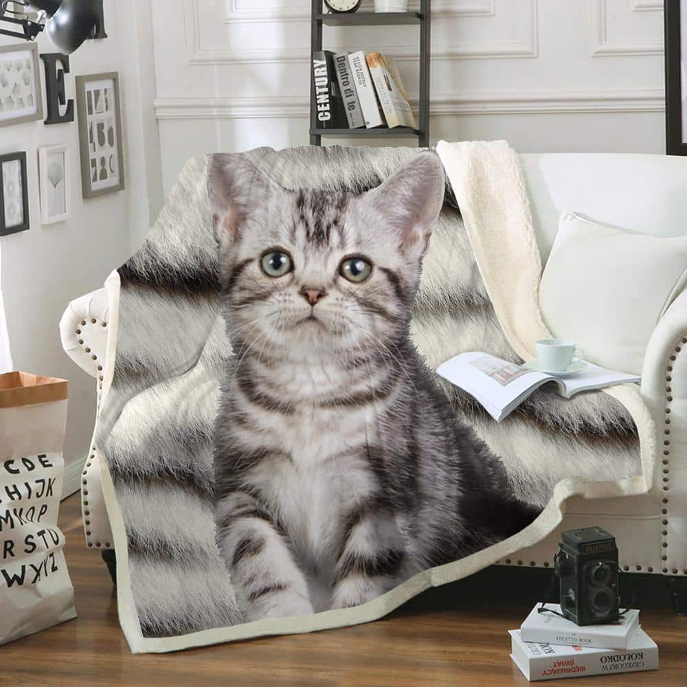 American Shorthair Cat Fleece Blanket / Woven Blanket Material For Your ...